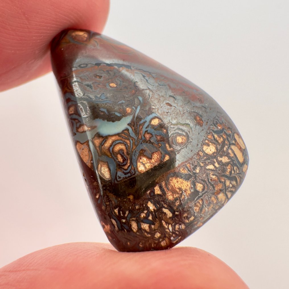 Zonder minimumprijs - 1 pcs  Opaal  - 27.75 ct - Geen laboratoriumrapport - Boulder #1.0