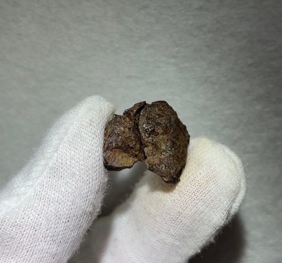Vaca Muerta meteoritt Mesosiderite - 6.4 g #1.0