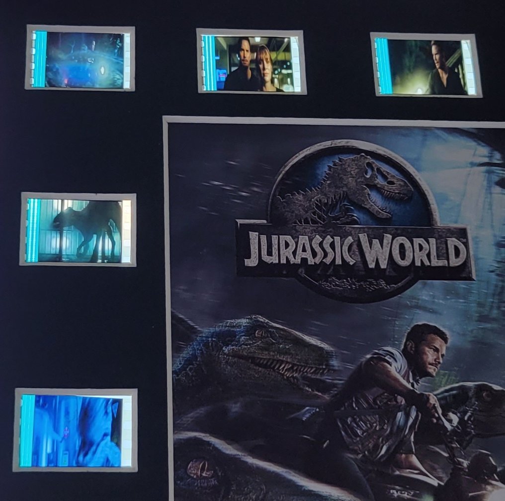 Jurassic World - Framed Film Cell Display with COA #4.3