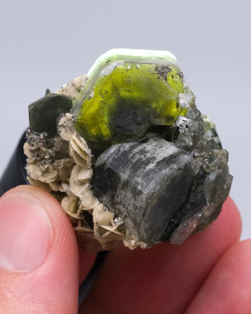 (EUROPEAN CLASSIC) APATIT VERDE Cluster FLOATER cu siderit - Înălțime: 3.3 cm - Lățime: 3.2 cm- 28 g - (1) #1.0