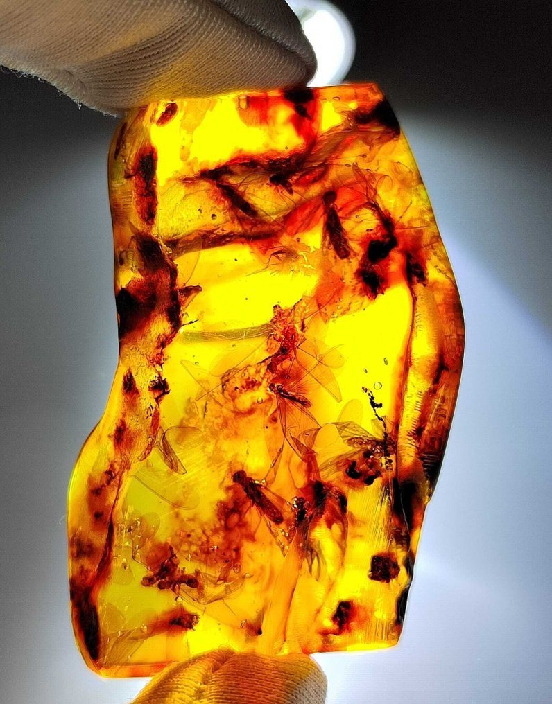 FOSSlL-AWESOME!! Dominikansk bärnsten – 60 kr- 12 g #1.0