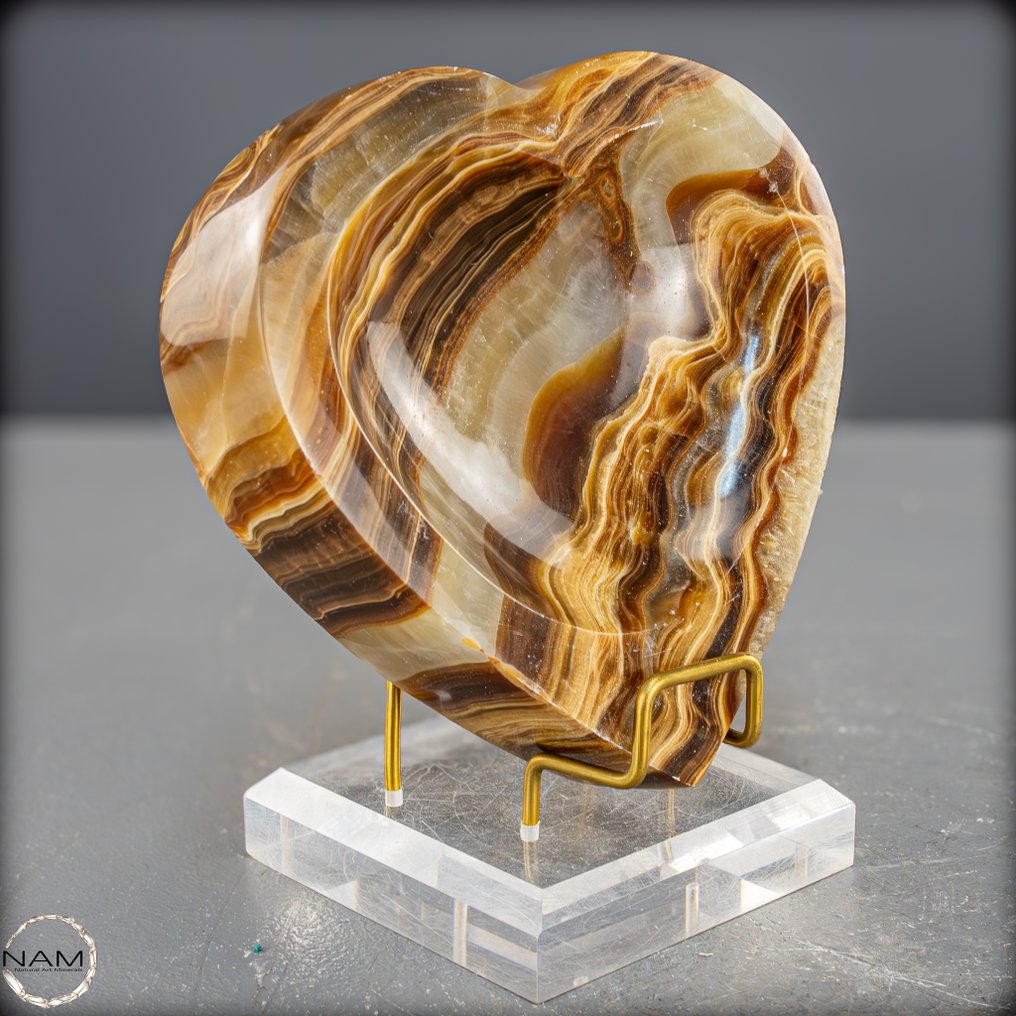 Rare aragonite heart shell from Pakistan- 876.55 g #4.3