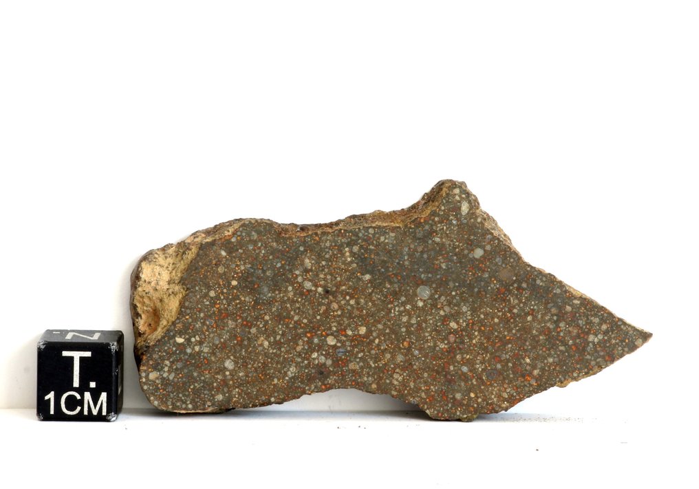 Section de chondrite Rumuruti R3 NWA 13060 - 16.56 g - (1) #2.1