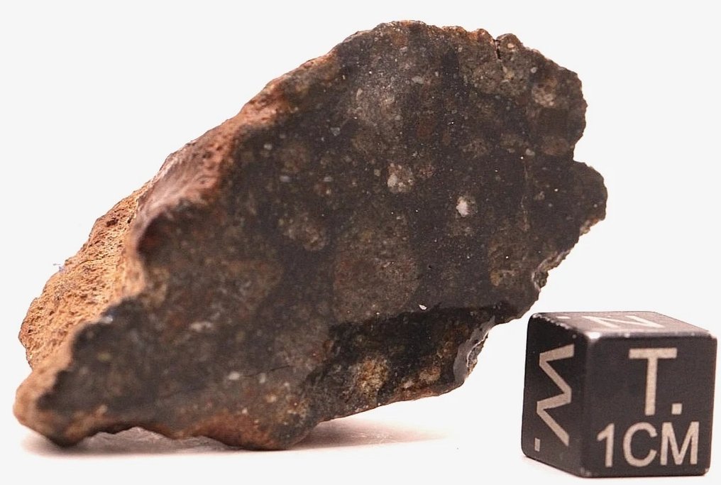 NWA 15788 - 隕石,非球粒陨石,HED族 - Diogenite多晶碎裂岩 - 31.4 g - (1) #2.1