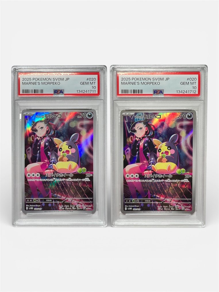 Pokémon - 2 Graded card - Marnie's Morpeko 020 Προωθητική κάρτα - PSA 10 - Scarlet & Violet #1.0