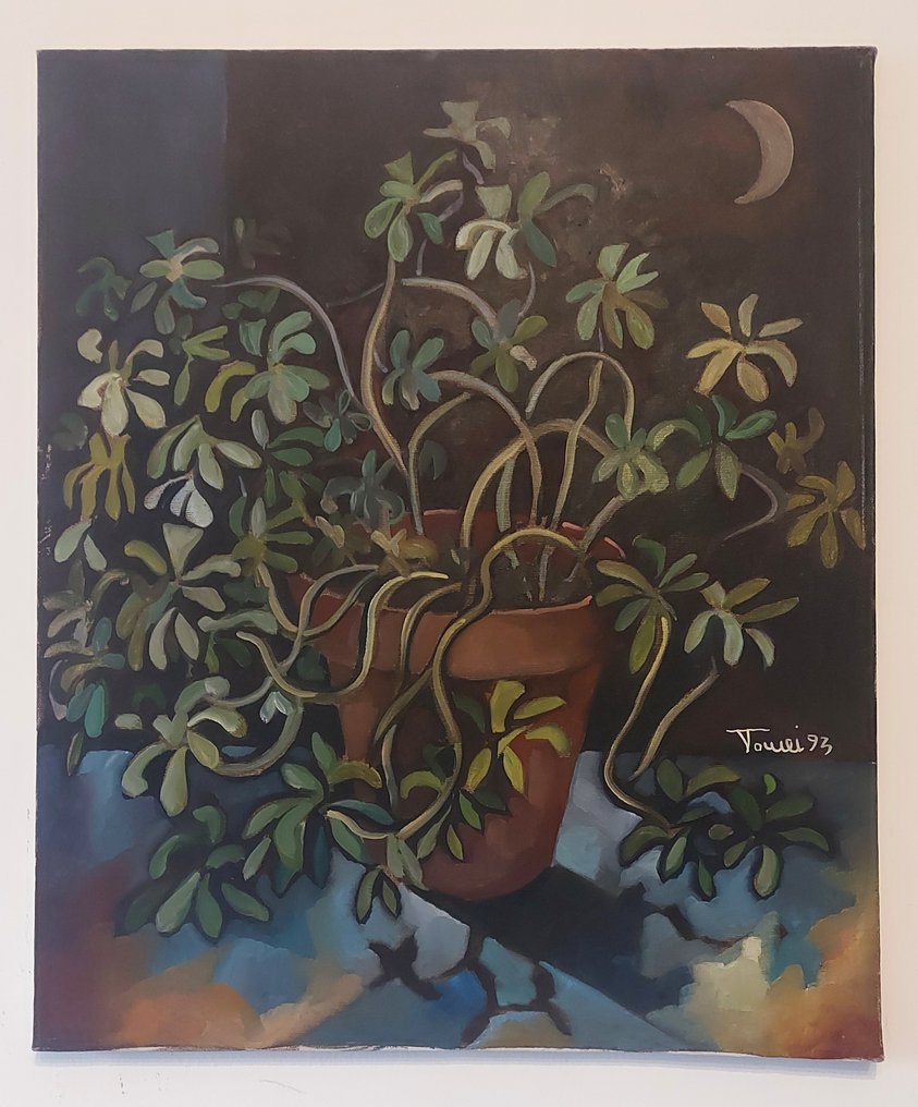 Francesco Tomei (XX) - Pianta grassa #1.0