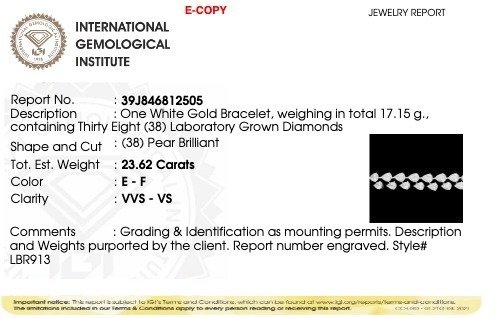 手鈪 - 18 克拉 白金 -  23.62ct. tw. 鉆石 (實驗室培育) - Link Bracelet #4.3