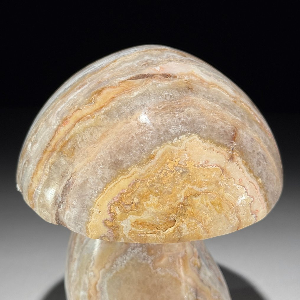 无底价 - 手工雕刻蕾丝玛瑙蘑菇雕塑 独一无二的收藏品 - 高度: 15.2 cm - 闊度: 11.2 cm- 1800 g #3.2