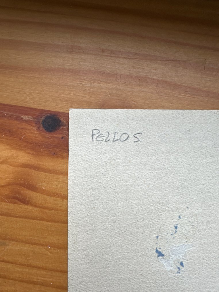 Rene pellos - 1 Original page - durga rani - 1949 #4.3