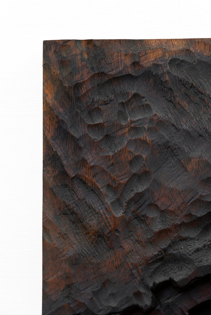 Riccardo Masini (1984) - Baikà 梅花 n.25 - Studio | Montagna nuda #4.3