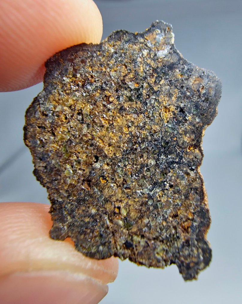 洛德拉石陨石。NWA 17905。 原始无辉石岩 - 2.94 g #1.0