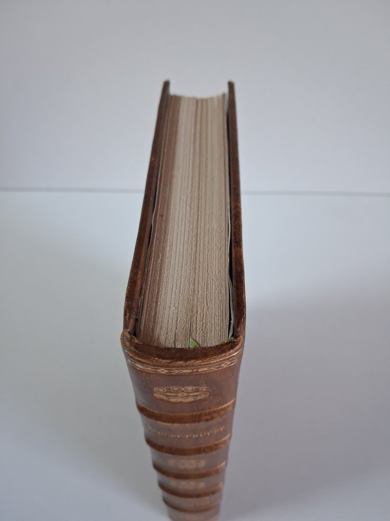 Marcel Proust / Lithographie originale de Dunoyer de Segonzac - Un amour de Swann - Ex. num. - 1950 #2.1