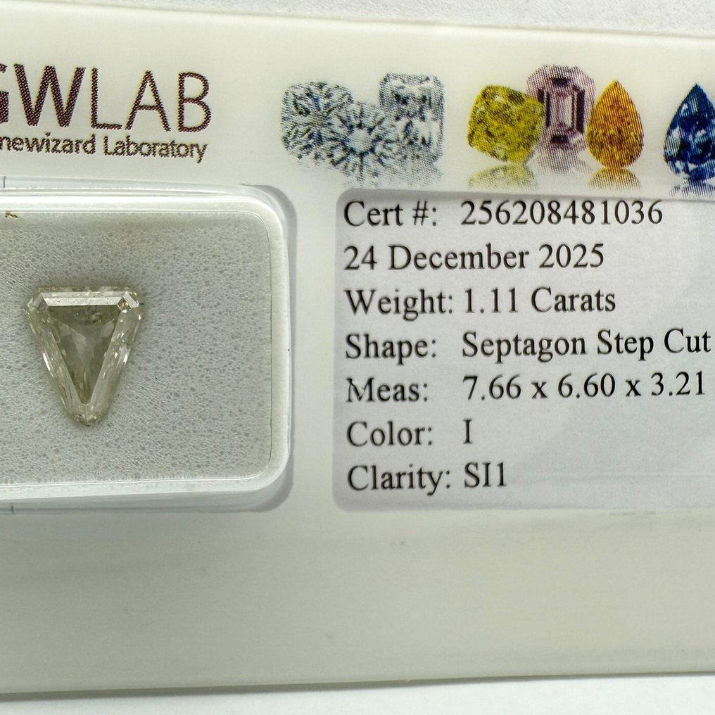 没有保留价 - 1 pcs 钻石  (天然)  - 1.11 ct - 混合形状 - I - SI1 微内含一级 - Gemewizard宝石实验室（GWLab） #1.0