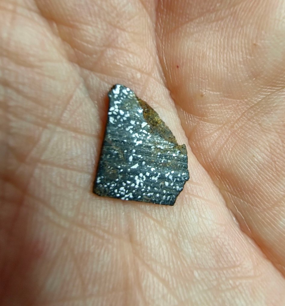 Μετεωρίτης Acapulcoite (NWA 16397). Εξαιρετικά σπάνιος μετεωρίτης. - 0.51 g #4.3