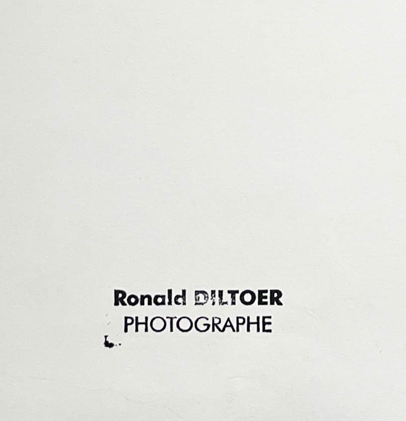 Ronald Diltoer - lingerie fashion model #4.3