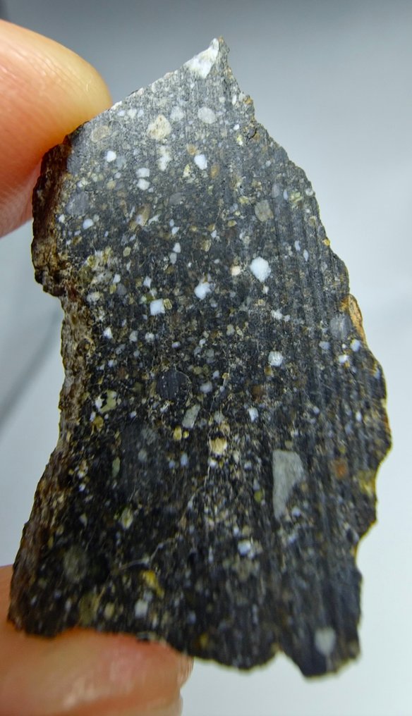 月球碎屑-角砾岩 NEA 078。 2025年新分类，多碎裂岩。 - 2.38 g #1.0