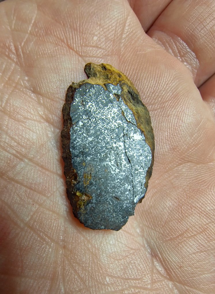 Μετεωρίτης mesosiderite. (NWA 18216) Χωρίς τιμή ελάχιστου αποθέματος. - 4.24 g - (1) #4.3