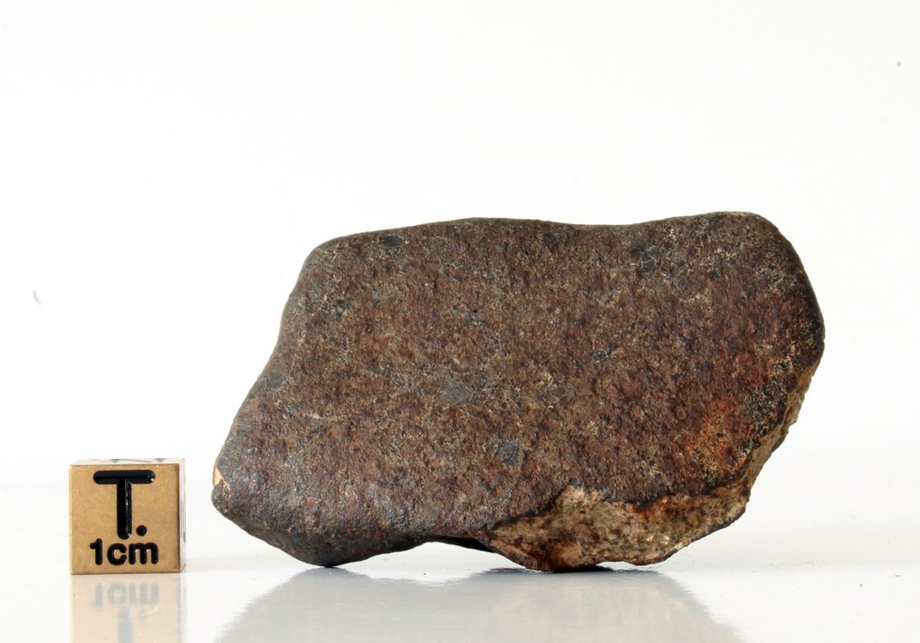 定向未分类的普通球粒陨石 球粒隕石 - 70 g - (1) #2.1