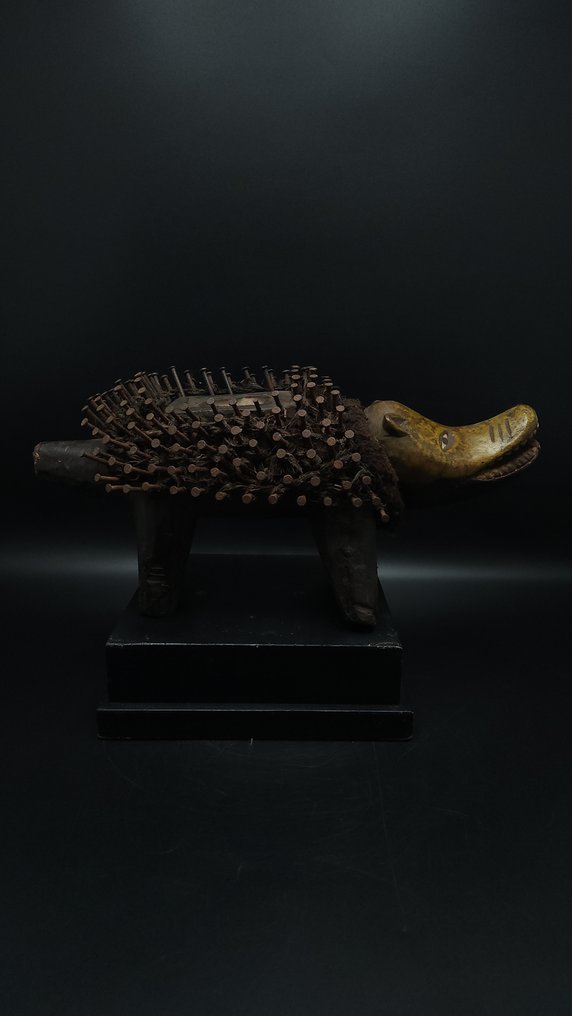 εκπληκτικό Κονγκό σκύλος - Bakongo - Κονγκό RDC  (χωρίς τιμή ασφαλείας) #1.0