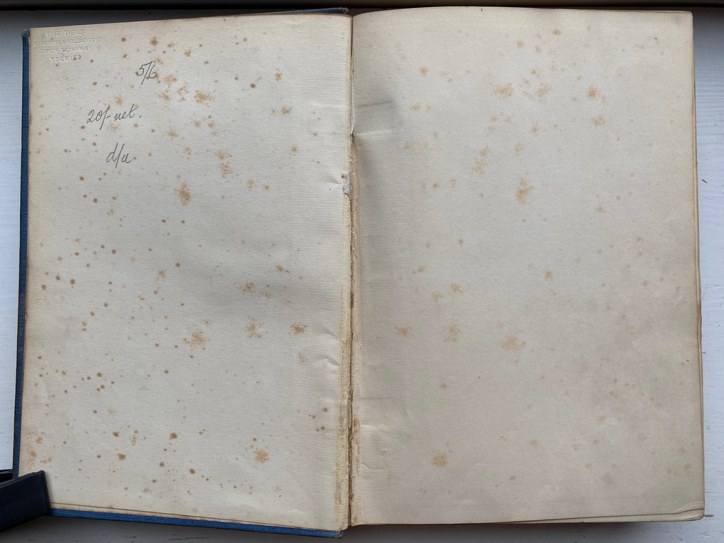 A. Henry Savage Landor - Tibet & Nepal - 1905 #4.3