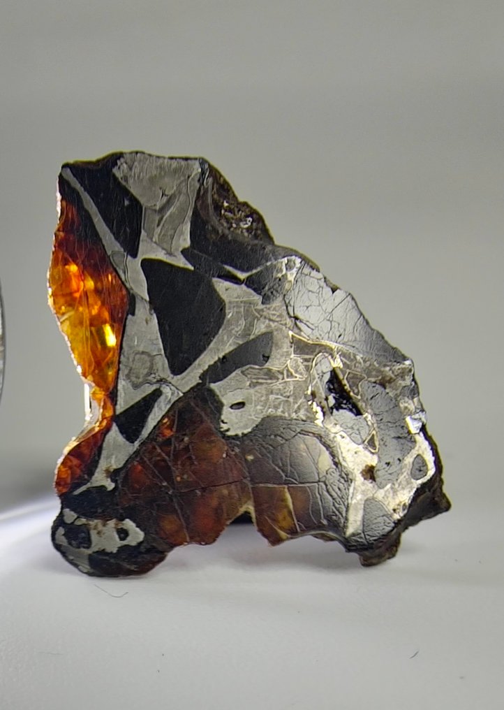 Pallasite 陨石，NWA 16774。 没有保留价。 - 2.17 g #3.2