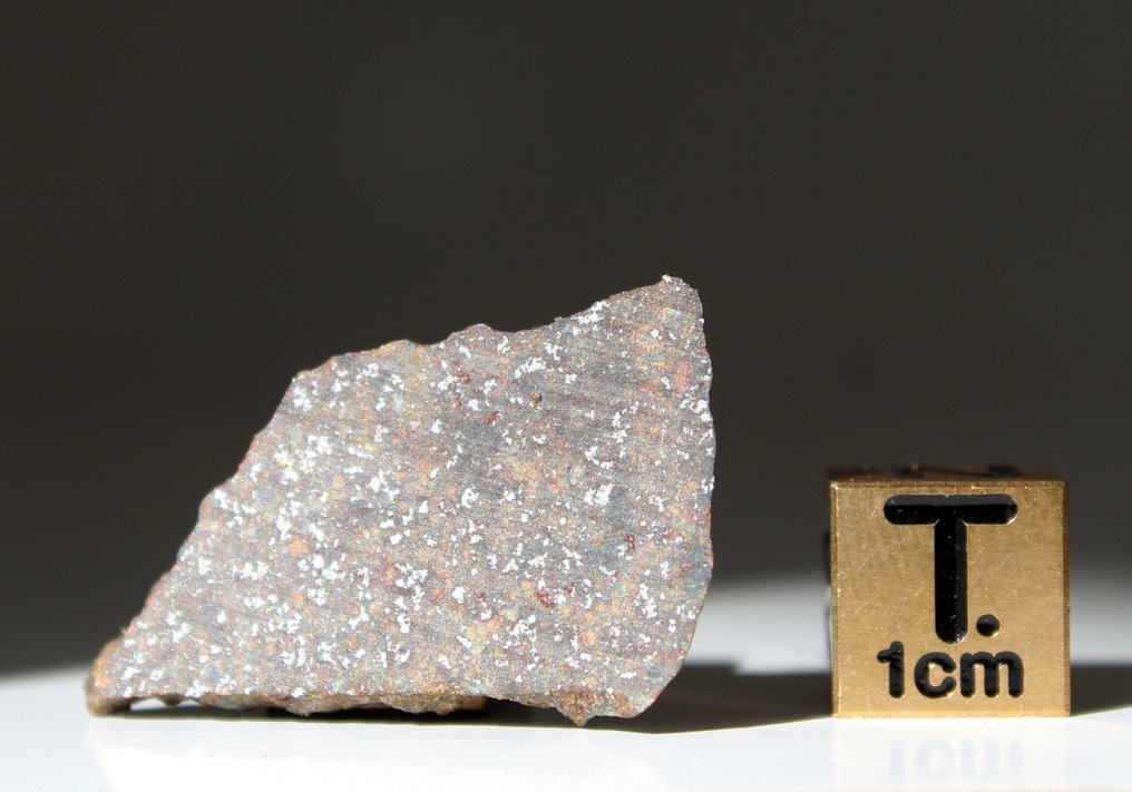 普通球粒陨石（H5） H5 NWA 18076 的切片 - 2.91 g - (1) #1.0