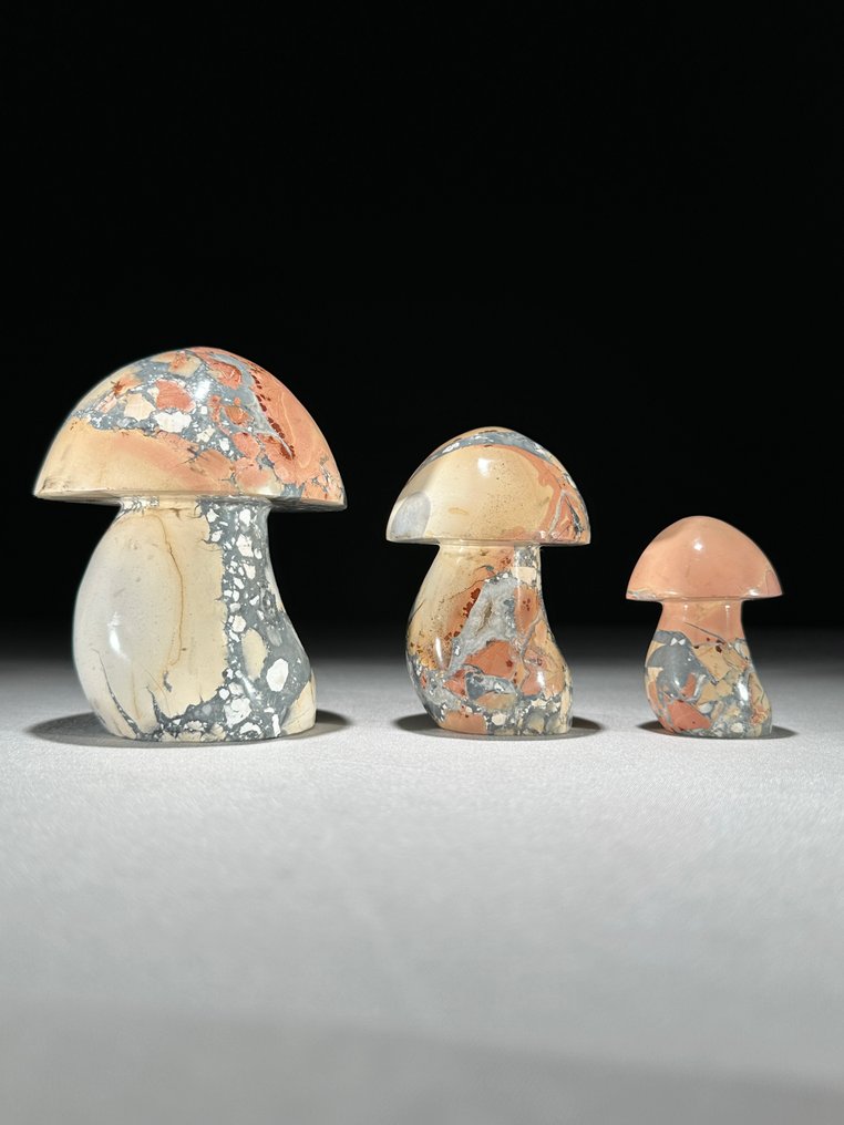 无底价 - 精彩的Maligano Jasper套装 蘑菇形状- 1300 g - (3) #1.0