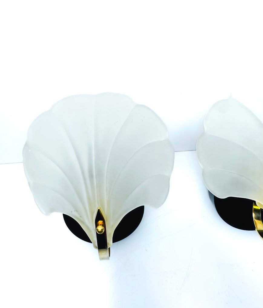 Vägglampett - skaldjur - Glas #4.3