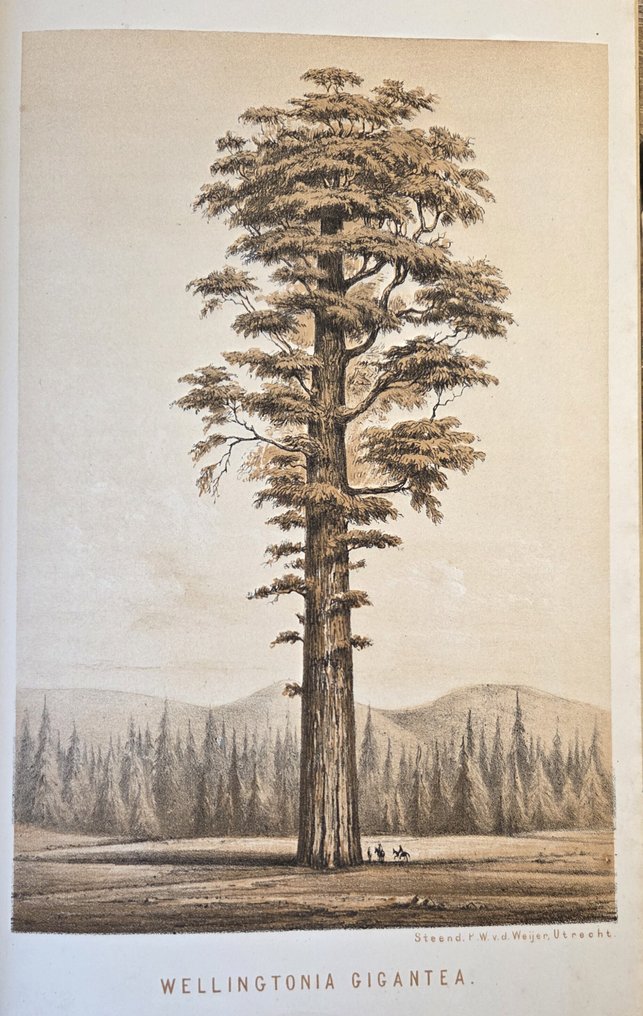 P. Harting e.a. - Album der natuur - 1853-1863 #1.0