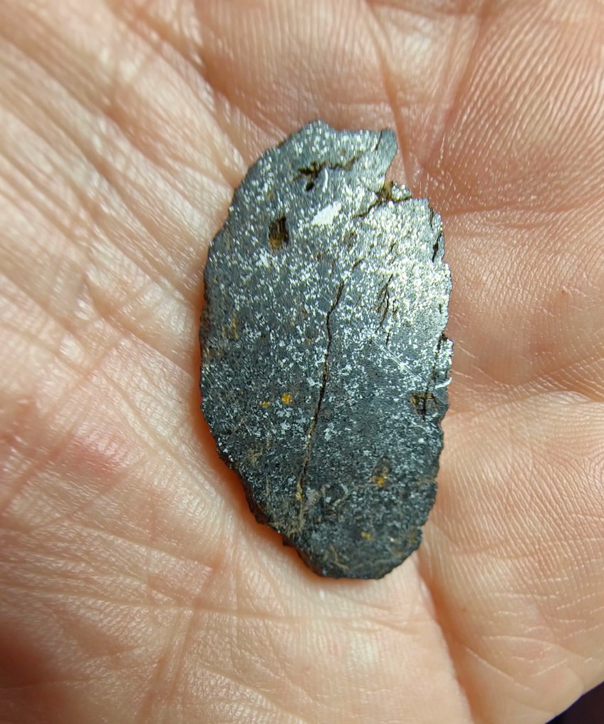 Μετεωρίτης mesosiderite. (NWA 18216) Χωρίς τιμή ελάχιστου αποθέματος. - 4.24 g - (1) #3.2