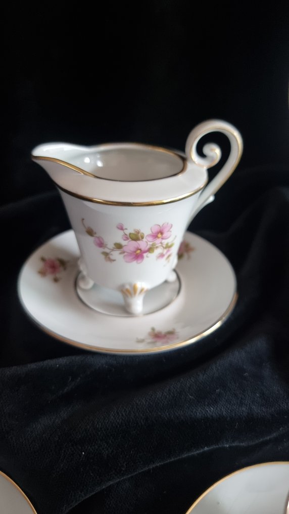 Tirschenreuth 1883 - 12 Teile - 咖啡/茶杯具組 (12) - 瓷器 - 愚蠢的摩卡咖啡服务 #1.0