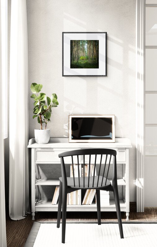 Tessa Posthuma de Boer - Walks #16 #1.0