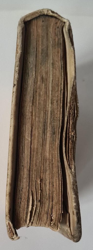 Cicero - M.T. Cic. de officiis libri tres - 1611 #3.2