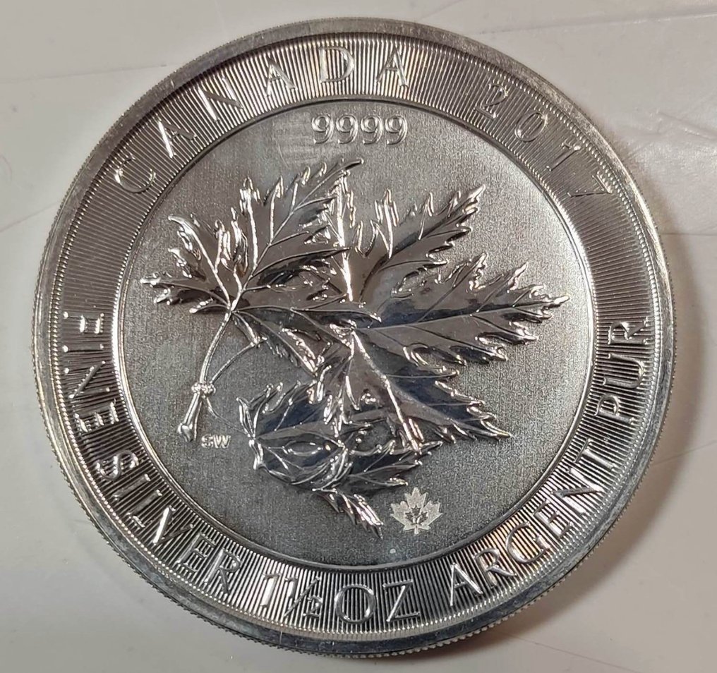 Canadá. 8 Dollars 2017. 1,5 oz, Multi Maple Leaf Superleaf  (Sin precio de reserva) #1.0
