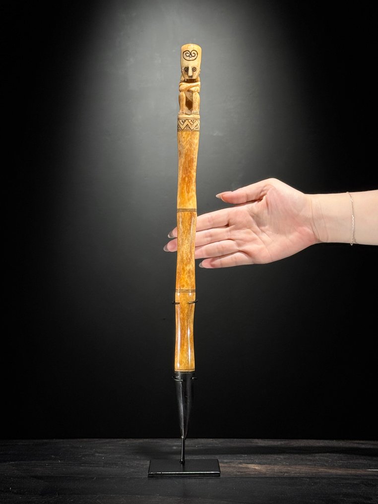 无底价 - 精美的Sumba骨制雕像，配有定制底座。 骨頭 - Bovine - 49 cm - 8 cm - 8 cm- 非《瀕臨絕種野生動植物國際貿易公約》物種 -  (1) #1.0