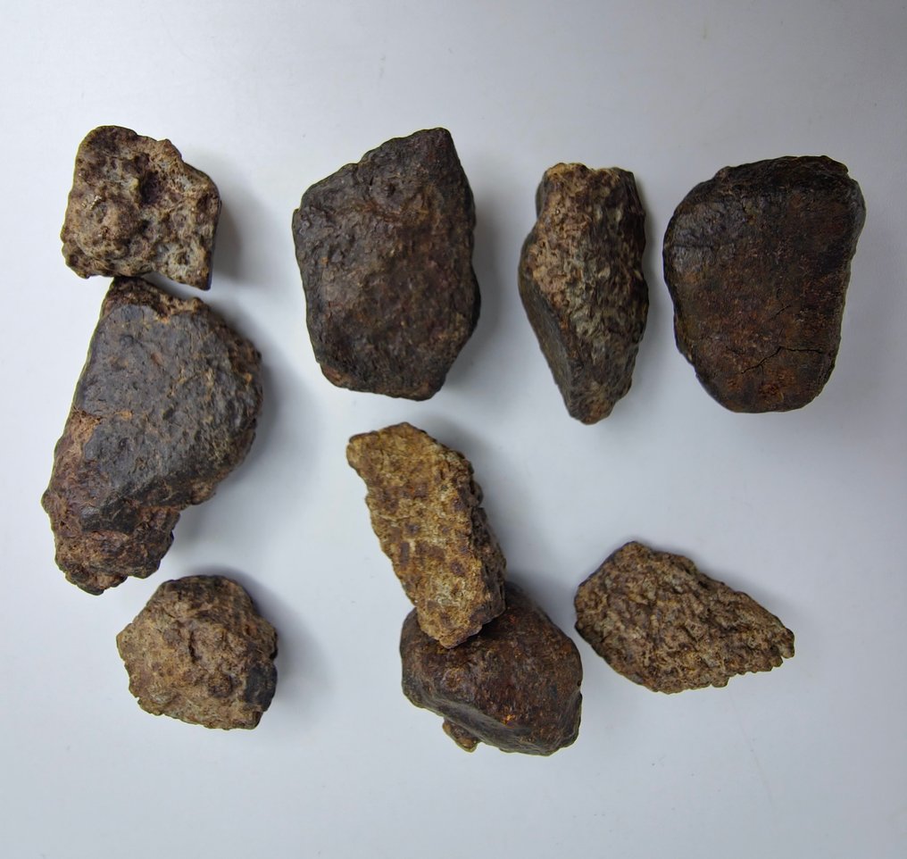 Tademait高原 012陨石，H5。 没有保留价。 - 101.19 g #3.2