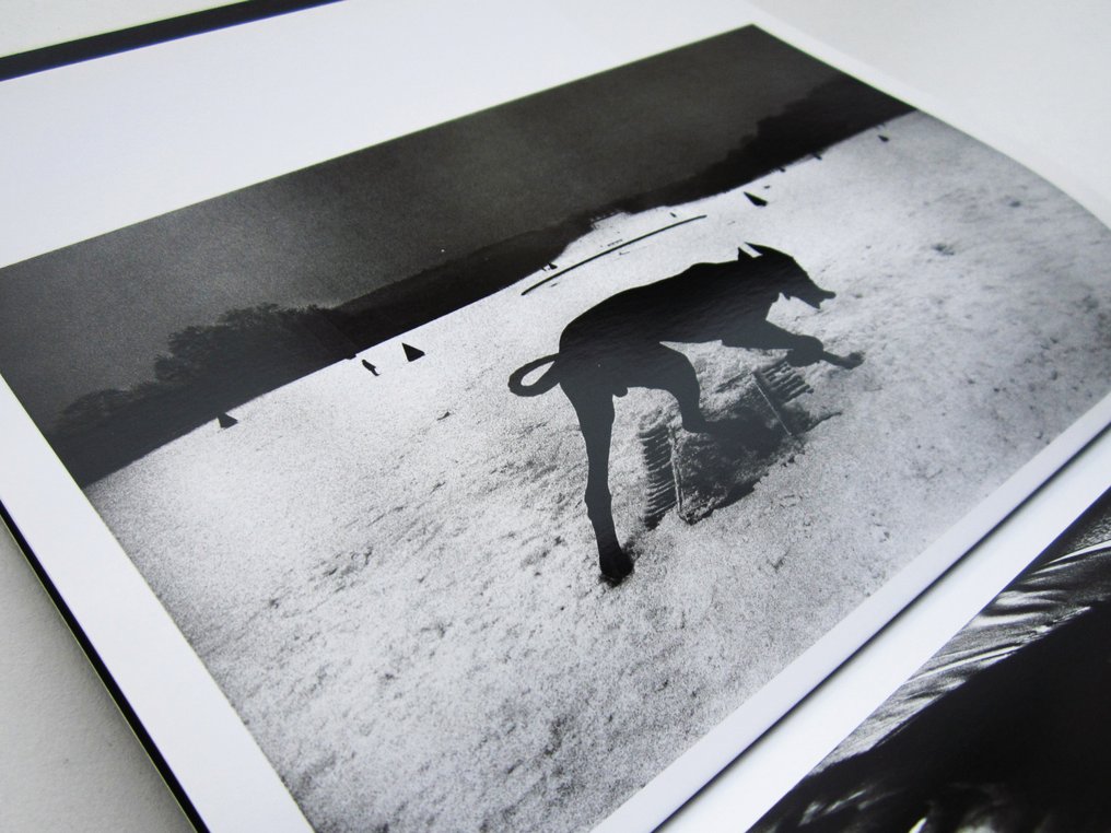 A. Mauro - Josef Koudelka (I grandi fotografi Magnum Photos) - 2011 #1.0