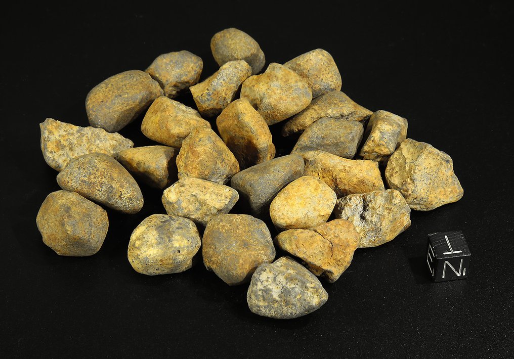 Gao-Guenie陨石 高-居尼——著名的H5型陨石球粒陨石，于1960年在布基纳法索坠落。 - 261.7 g - (1) #2.1