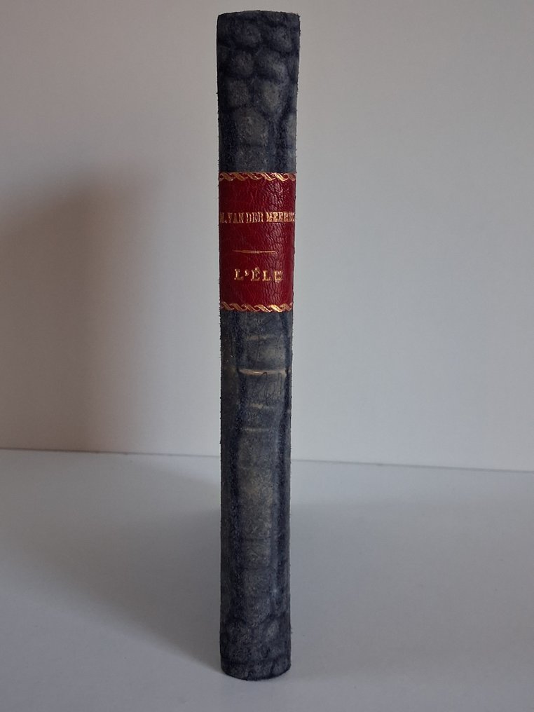 Maxence Van Der Meersch / Bois en couleur de Léon Van Damme - L'Élu - 1946 #3.2