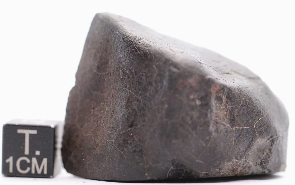 Μετεωρίτης NWA 17713 LL6 Breccia Μετεωρίτης χονδρίτης - 41.6 g - (1) #3.2