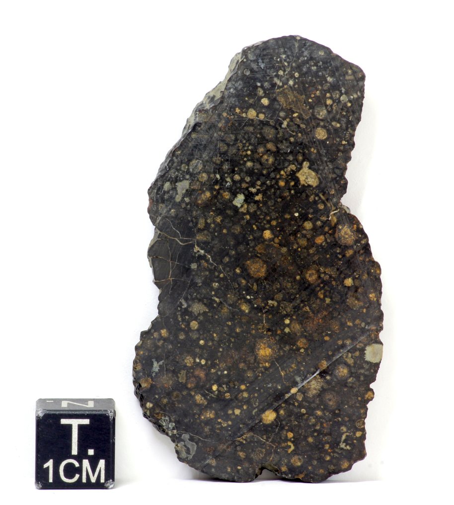 CVox3 NWA 15813陨石的切片 碳质球粒陨石 - 16.79 g - (1) #1.0