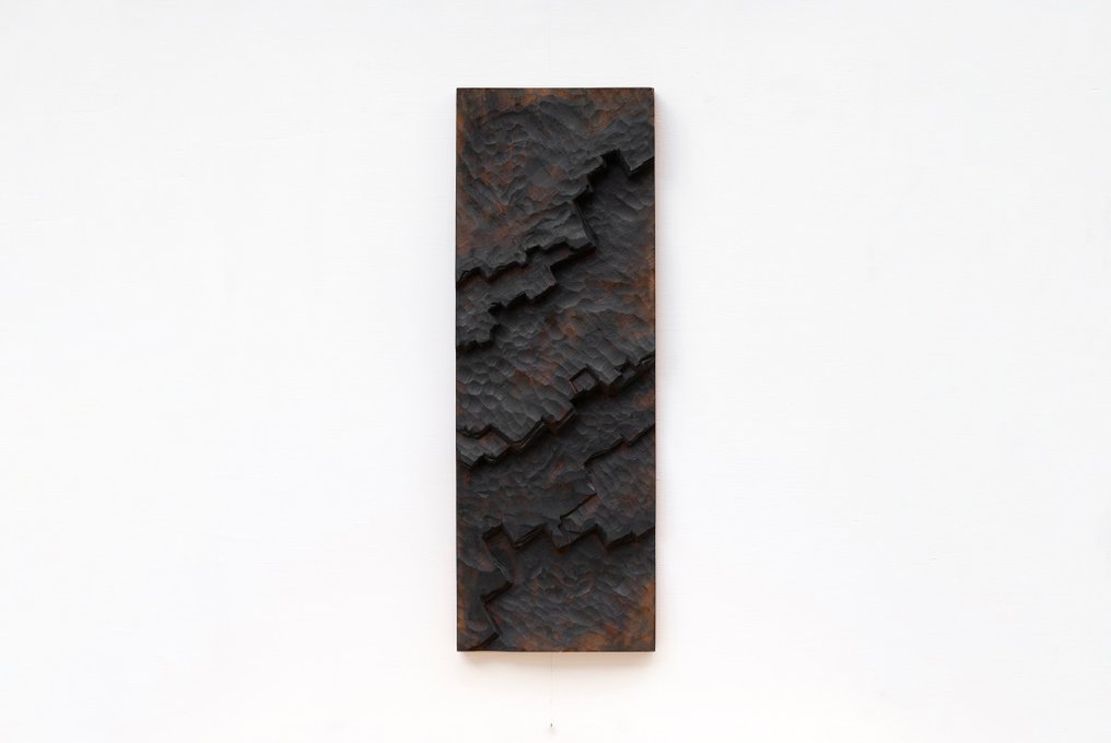 Riccardo Masini (1984) - Baikà 梅花 n.25 - Studio | Montagna nuda #2.1