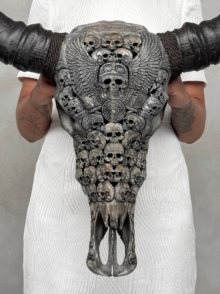 Brak ceny minimalnej - C-Oszałamiający duży szary ręcznie rzeźbiony czaszka wodnego bawoła - czaszki Rzeźbiona czaszka - Bubalus Bubalis - 77 cm - 81 cm - 20 cm- Gatunki inne niż CITES -  (1) #1.0