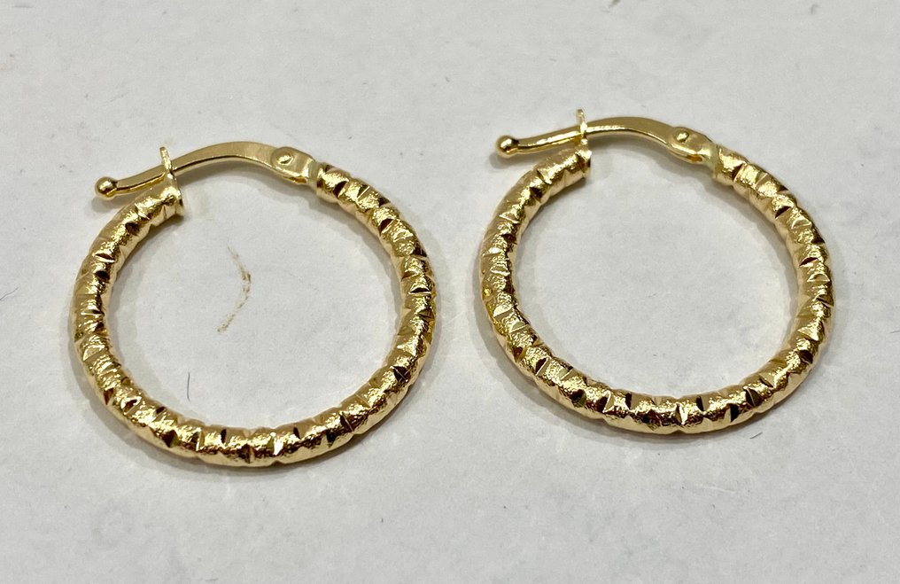 Ingen reservasjonspris - Øreringer - 18 karat Gull #3.2
