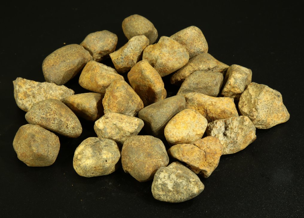 Gao-Guenie陨石 高-居尼——著名的H5型陨石球粒陨石，于1960年在布基纳法索坠落。 - 261.7 g - (1) #1.0