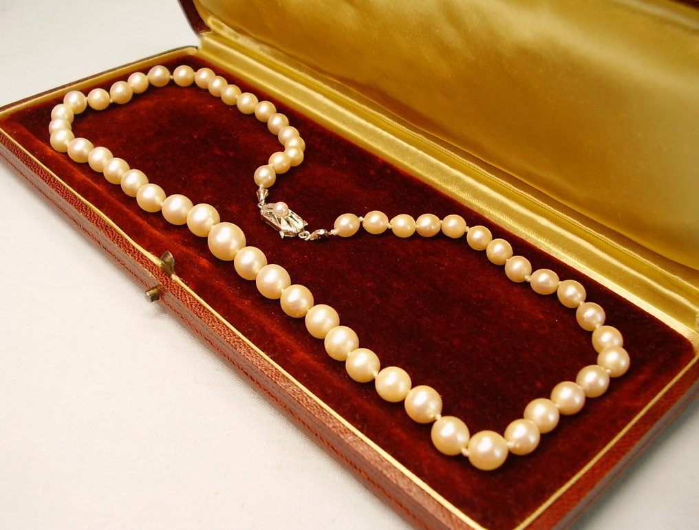 χωρίς τιμή ασφαλείας - Other brand - Κολιέ - 14 καράτια Λευκός χρυσός, Κίτρινο χρυσό -  125.00ct. tw. Μαργαριτάρι - Αλυσίδα με μαργαριτάρια Akoya για γάμο. #3.2