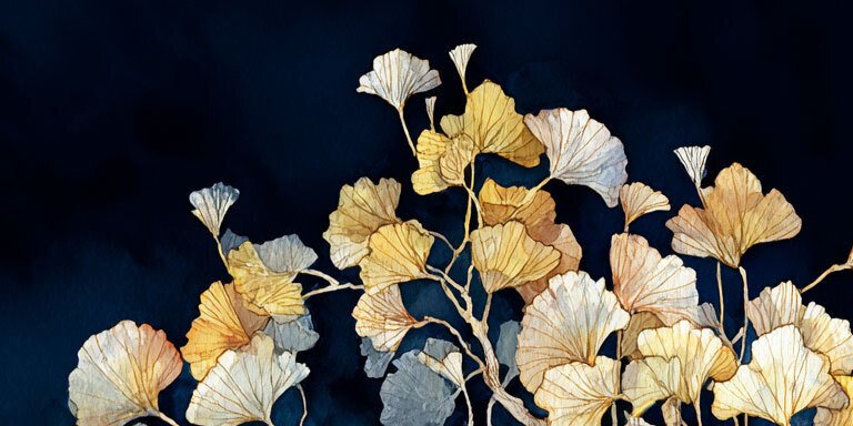 Miss Evoke - Changed Direction - XXL #2.1