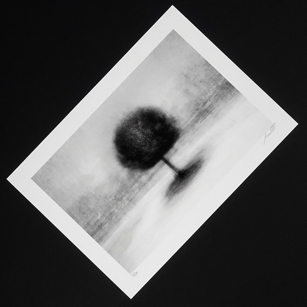 Frank Machalowski - stadtbaum#35 #4.3