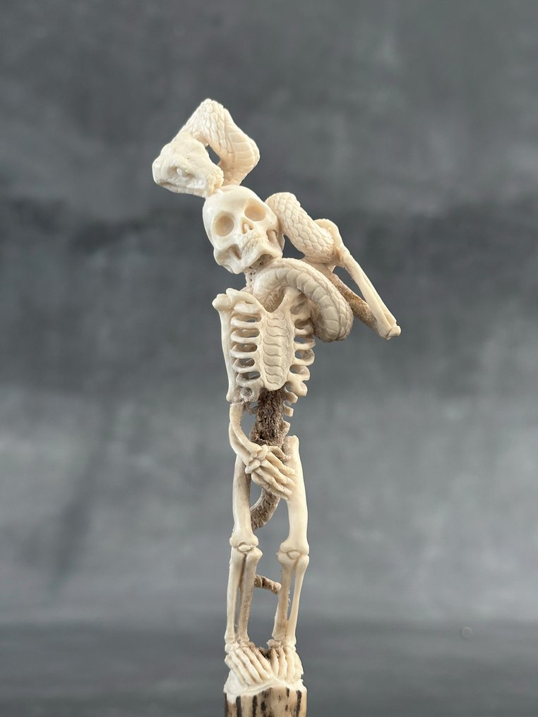 Udskæring, NO RESERVE PRICE - Skeleton & Snake carving from Deer Antler on a custom stand - 21 cm - Knogle - 2025 #1.0