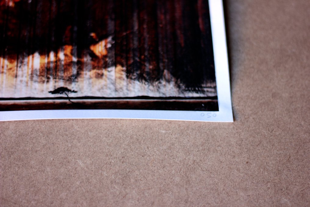 Aleix Albareda - Xiu 050 #4.3